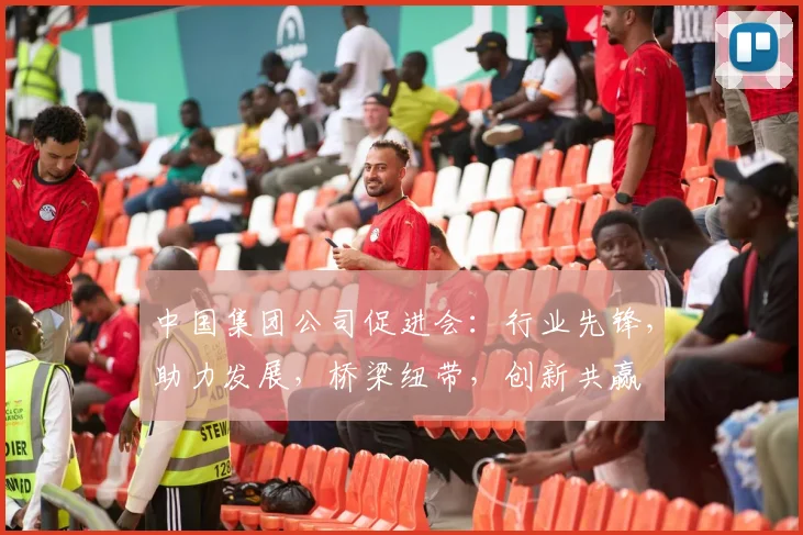 中国集团公司促进会：行业先锋，助力发展，桥梁纽带，创新共赢