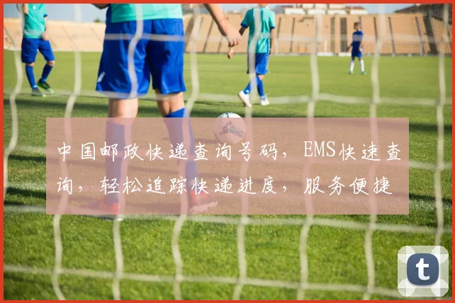 中国邮政快递查询号码，EMS快速查询，轻松追踪快递进度，服务便捷三重保障，必查